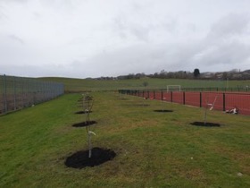 Planted orchard