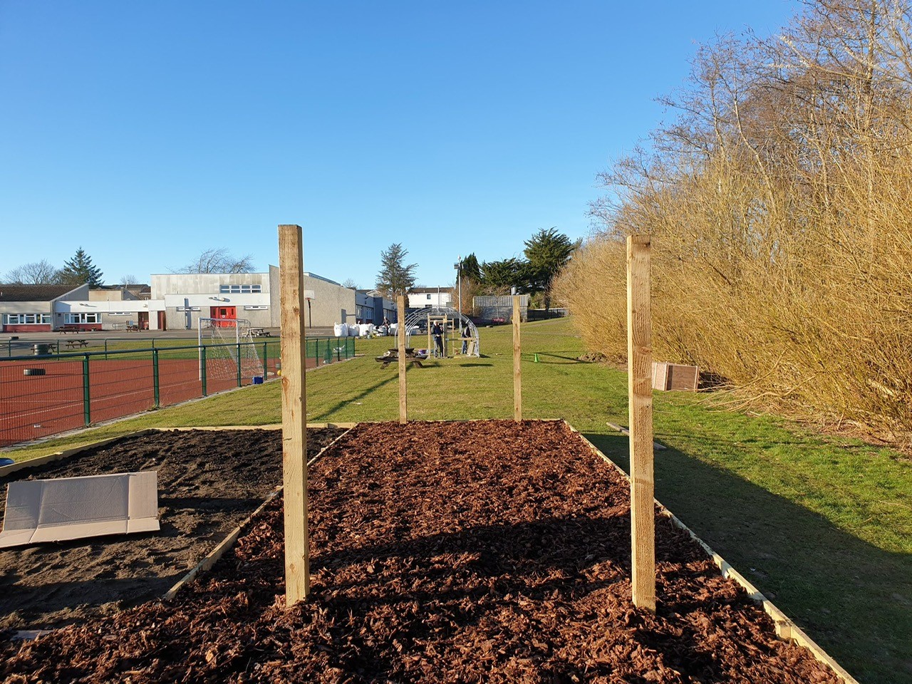 Building the shed